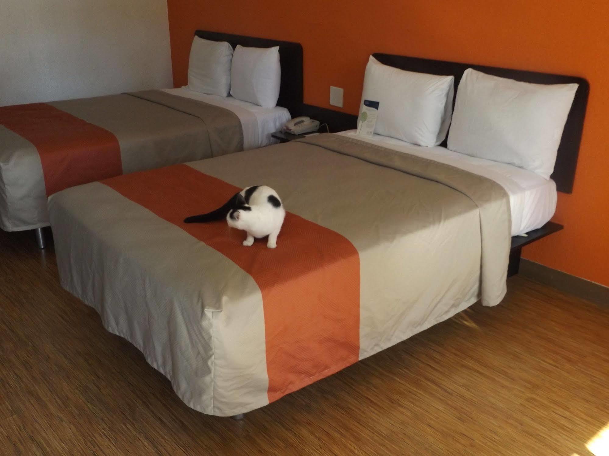 Motel 6 Glendale Az Экстерьер фото